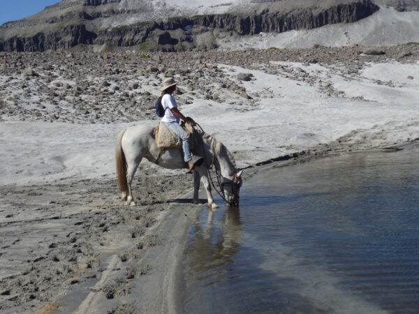 Full-Day Horseback Riding